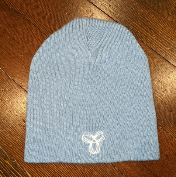 Aritzia Accessories - NWOT - Aritzia - TNA - Blue Beanie / Toque